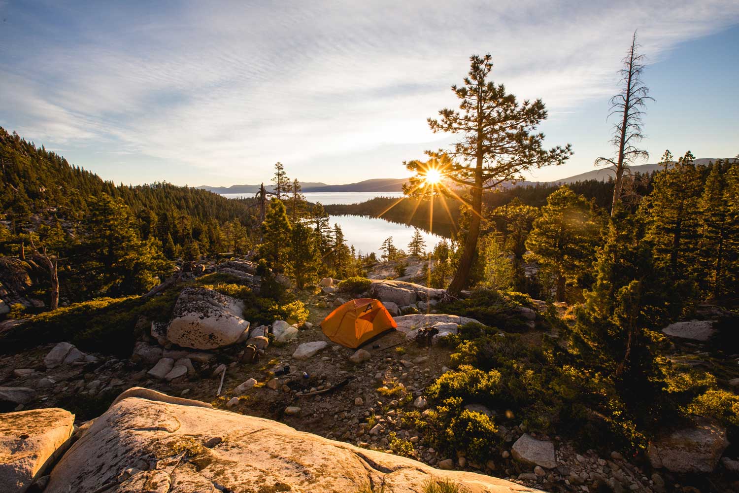 FOTO'S VISSEN